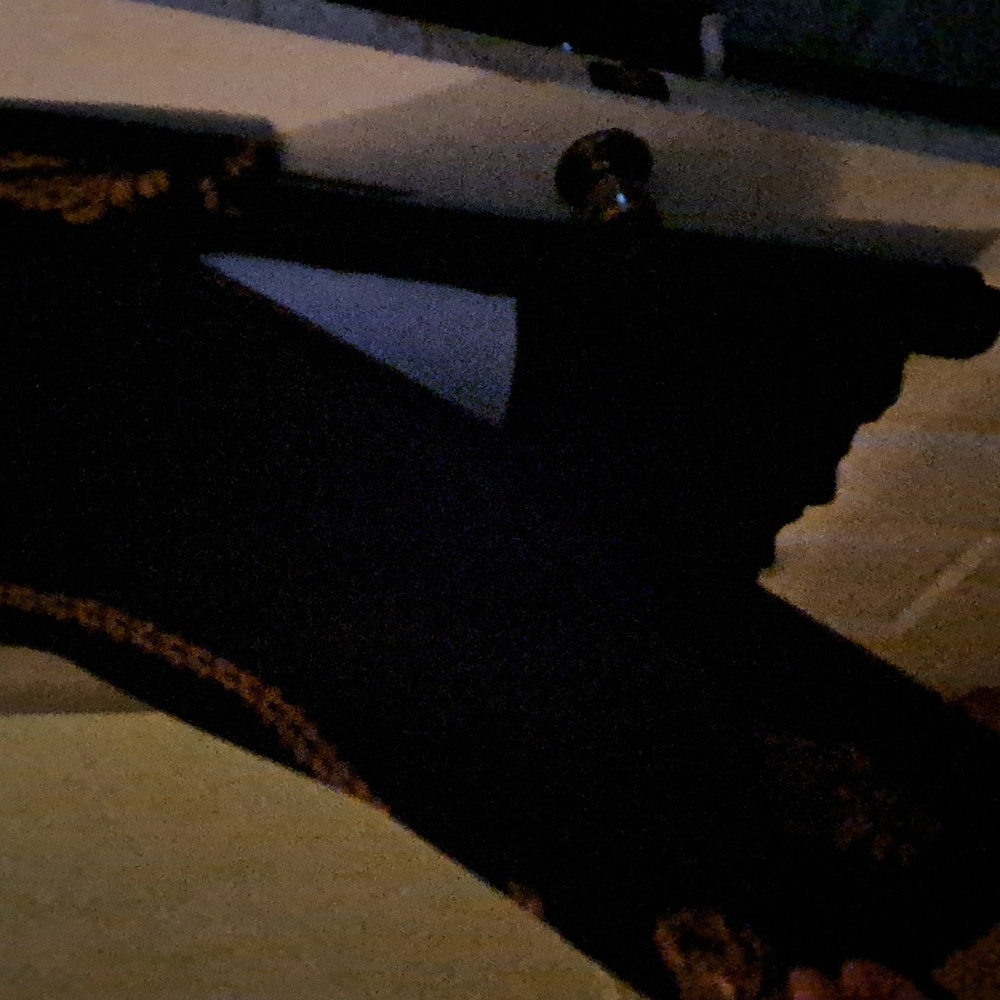 Elegant Embroidered Tunic - Picture 4 of 7